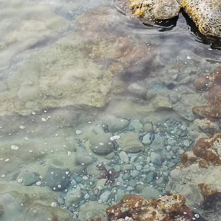 Retreat Olya - Seaside & Σπίτι διακοπών